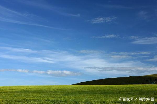 初中考试作文点评:《生活需要品尝》,采用片断式描写技法