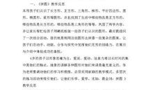 《投掷轻物》的教学反思范文