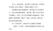 蜗牛 观察蜗牛的作文400字