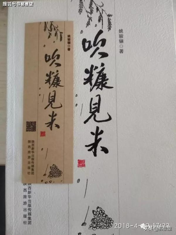 推荐一本好书《吹糠见米》读后感 1