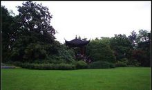 花港观鱼 四年级记叙文300字