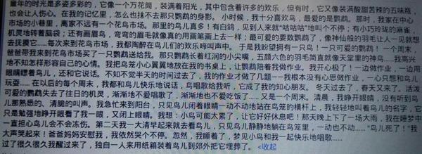 我真了不起优秀作文500字