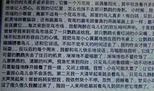 我真了不起优秀作文500字