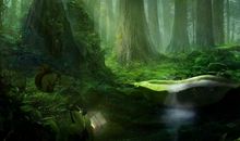 树木原来这么有趣 | 学科作文练写手册 科学作文 校园的树木