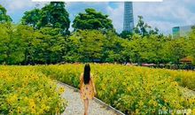 如何创作小标题作文