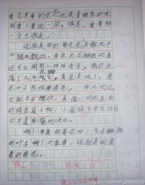 家乡如画 四年级我爱家乡作文500字