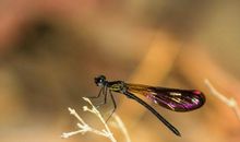 期末考试作文《温暖》，老师指导评析，提供升格方案