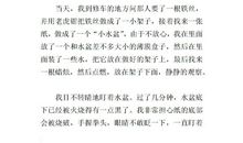 体温计的奥秘 神奇的科学400字作文