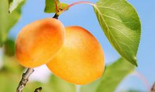 宿老师教作文之小学、初中生作文：续写