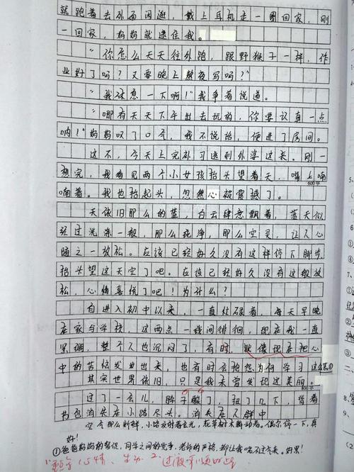 那人那事那景作文550字