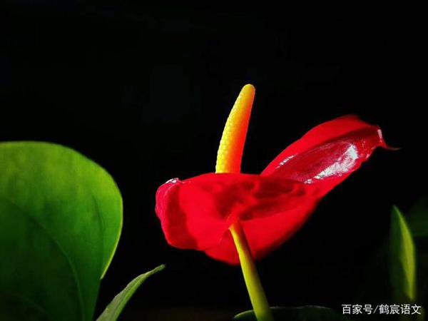 高中时那些有趣儿的事情,后来都成了我作文的素材 1