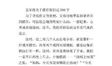 磐安游 四年级旅游日记500字