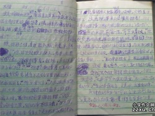 奶奶与爷爷 我的爷爷奶奶作文400字
