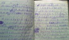 奶奶与爷爷 我的爷爷奶奶作文400字