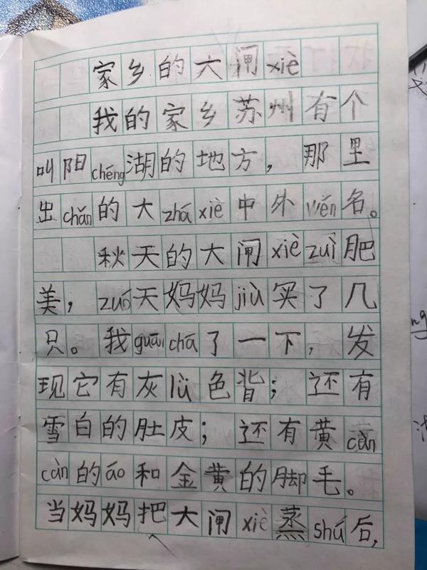 举个栗子，告诉你怎么指导孩子修改作文 2