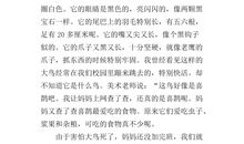 初三作文：不经意间的收获_600字