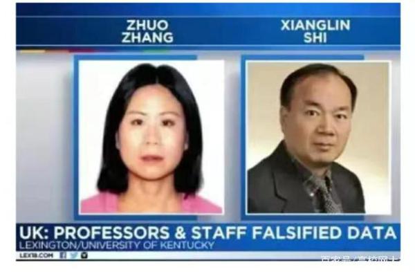 中国科研学术的悲哀,高中生为了获大奖,拿着抄袭作文去参赛! 1