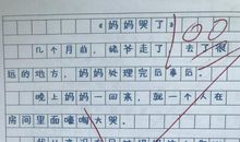 小学生作文《妈妈哭了》，感动无数人，网友：看完我哭了