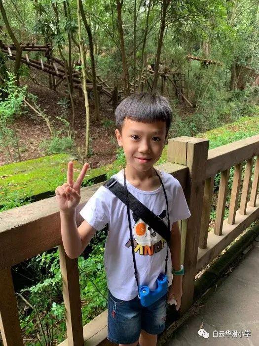 【我读书我快乐】白云华附小学部读书节系列活动之读后感征文比赛来啦！ 3