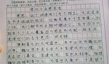 中考优秀作文|《最美的同学》