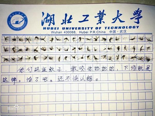 深秋蚊子多？18岁妹子用60只蚊子尸体写作文！