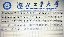 深秋蚊子多？18岁妹子用60只蚊子尸体写作文！