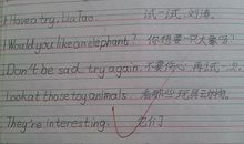 游上海 上海旅游作文300字