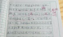 初中家庭生活作文