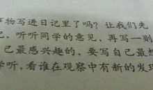 种植日记 三年级观察种子日记300字