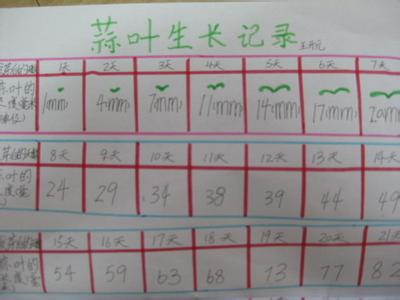 种植日记 种菜日记300字