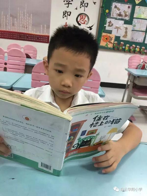 【我读书我快乐】白云华附小学部读书节系列活动之读后感征文比赛来啦！ 4