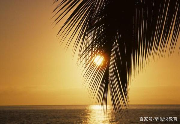 作文点评:《因为喜欢阳光,所以便活成了太阳的模样》