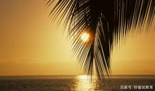 作文点评：《因为喜欢阳光，所以便活成了太阳的模样》