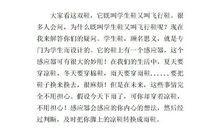 未来的鞋 以后的鞋子作文400字