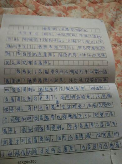 种子日记 观察种子日记300字