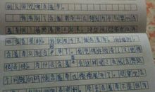 种子日记 观察种子日记300字