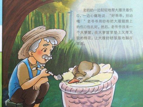 大雁爷爷的睡前故事