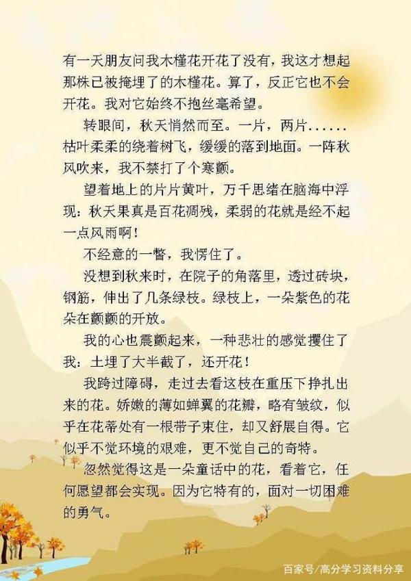 高中语文：高考满分记叙文，附16篇作文范文，值得拿去学习！ 5