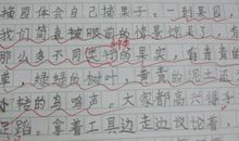 有关于海星作文