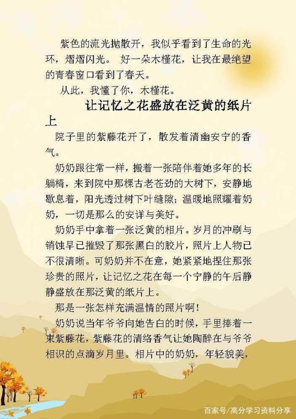 高中语文：高考满分记叙文，附16篇作文范文，值得拿去学习！ 6