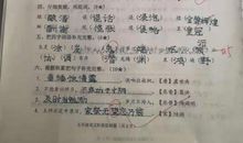 五年级期中考，作文写得不错，可是看看基础答题，家长直叹气