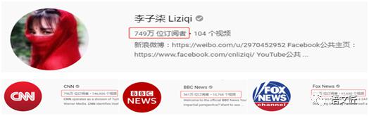 高考热点作文预测：“李子柒”现象到底算不算“文化输出”（含作文题和优秀时评） 1