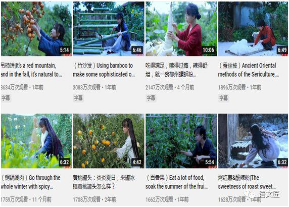 高考热点作文预测：“李子柒”现象到底算不算“文化输出”（含作文题和优秀时评） 3
