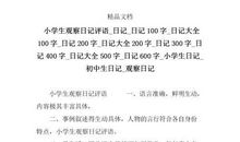 记录这一天 小学生记事日记300字