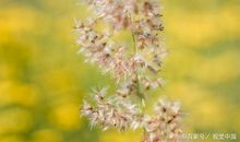 语文老师写下水作文：《赖在阳光里》