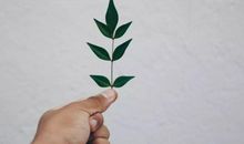 界首读书会•读书心得分享∣《小狗钱钱》读后感