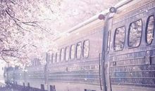 【作文秀】作文两篇