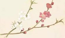 《诗经》是最好的作文老师