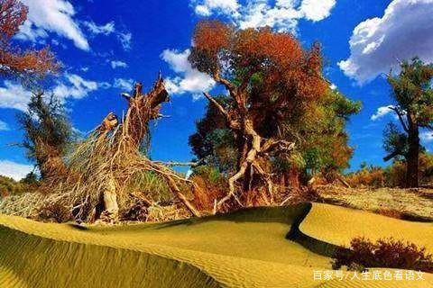 如何让孩子乐于写作文？从追求“有意思”到实现“有意义” 3