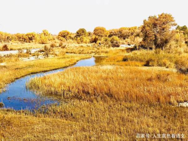 如何让孩子乐于写作文？从追求“有意思”到实现“有意义” 2